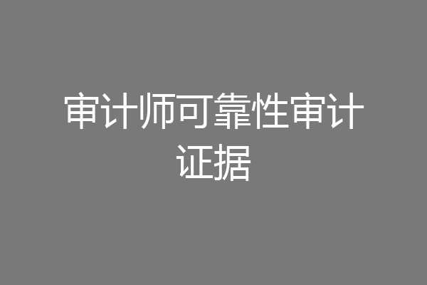 审计师可靠性审计证据