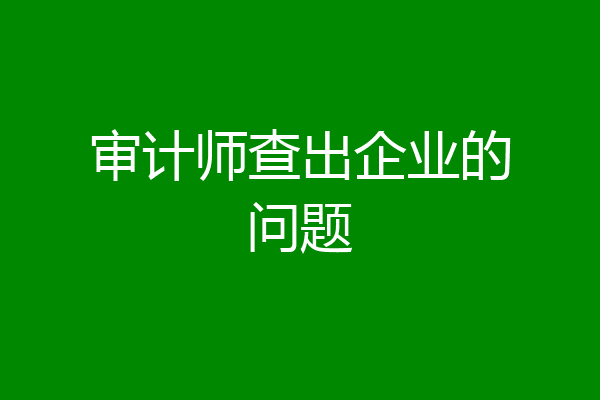审计师查出企业的问题