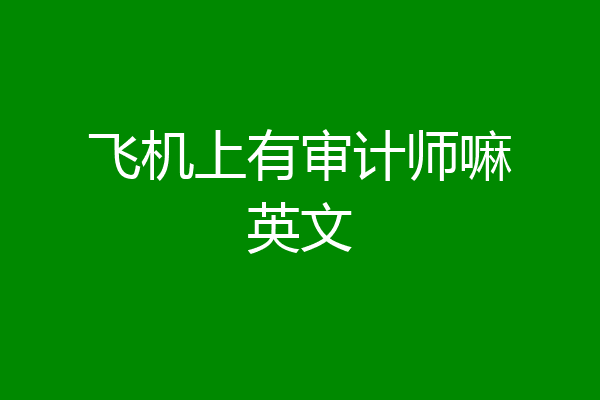 飞机上有审计师嘛英文