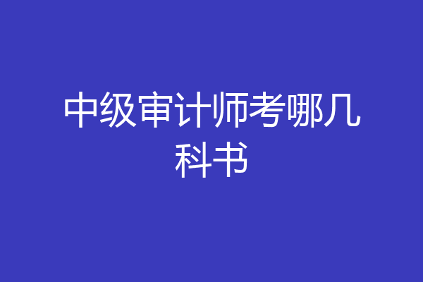 中级审计师考哪几科书