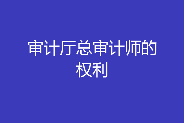 审计厅总审计师的权利