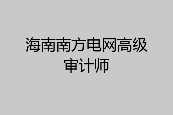 海南南方电网高级审计师