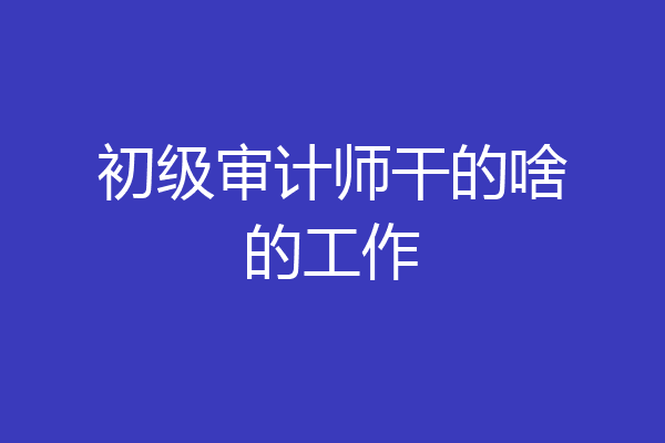 初级审计师干的啥的工作