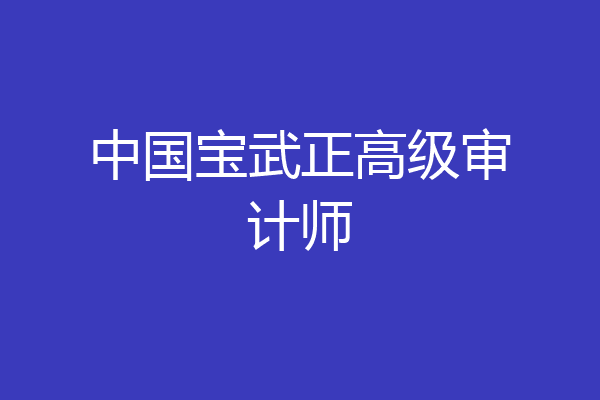 中国宝武正高级审计师