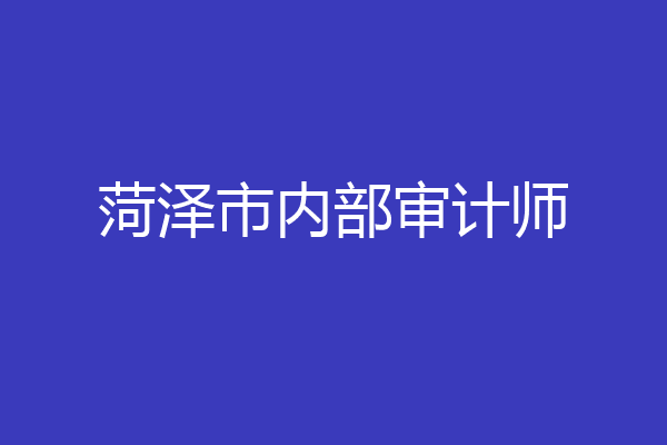 菏泽市内部审计师