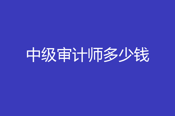 中级审计师多少钱