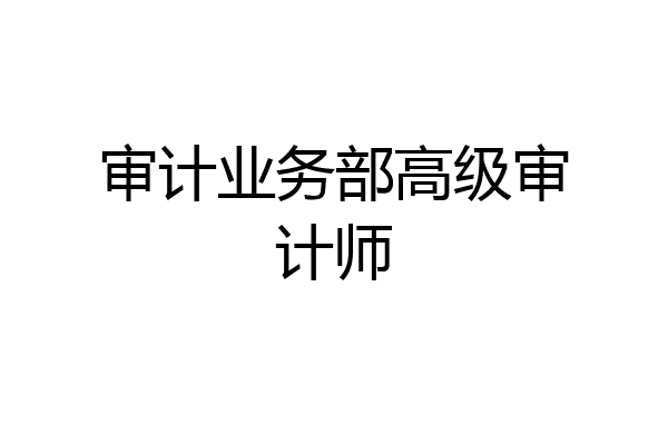 审计业务部高级审计师