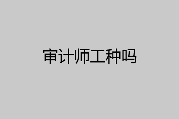 审计师工种吗