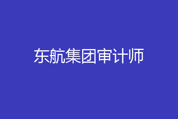 东航集团审计师