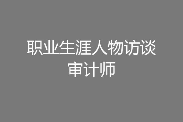 职业生涯人物访谈审计师
