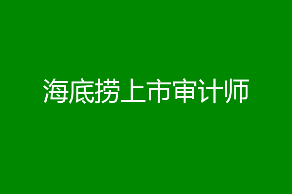 海底捞上市审计师