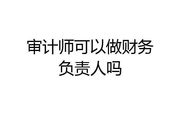 审计师可以做财务负责人吗