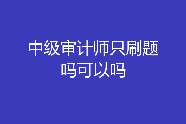 中级审计师只刷题吗可以吗