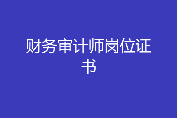 财务审计师岗位证书