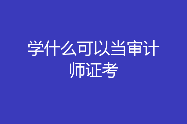 学什么可以当审计师证考