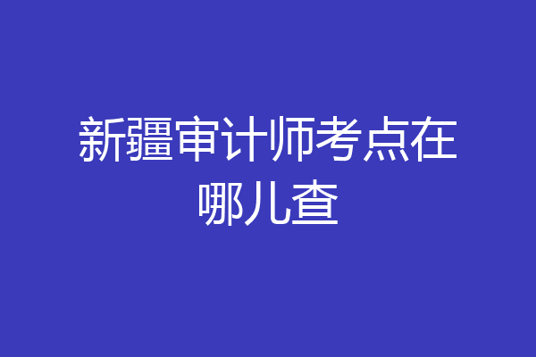 新疆审计师考点在哪儿查