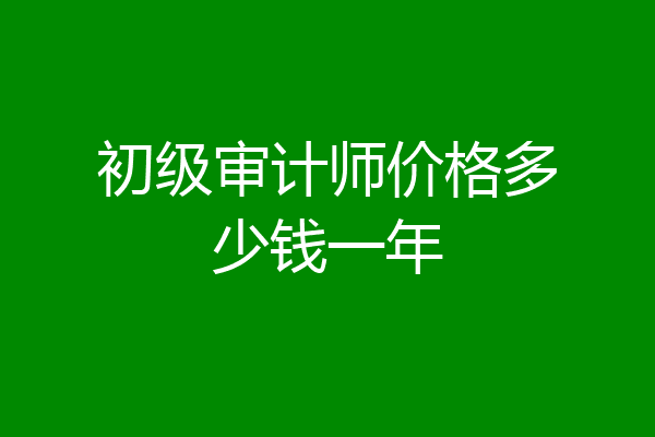 初级审计师价格多少钱一年