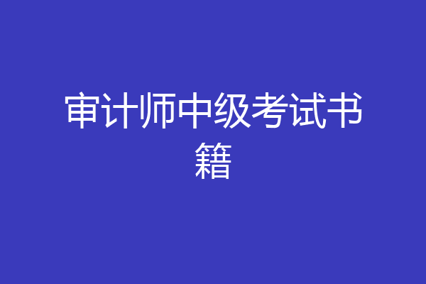 审计师中级考试书籍