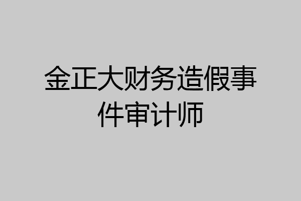 金正大财务造假事件审计师