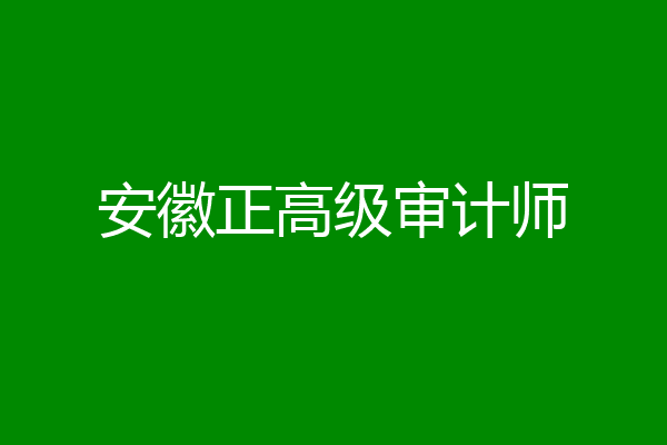 安徽正高级审计师