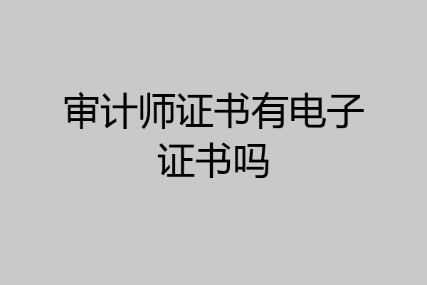 审计师证书有电子证书吗