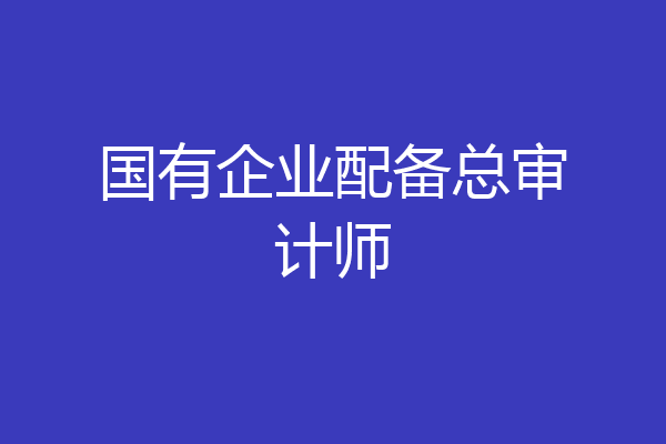 国有企业配备总审计师