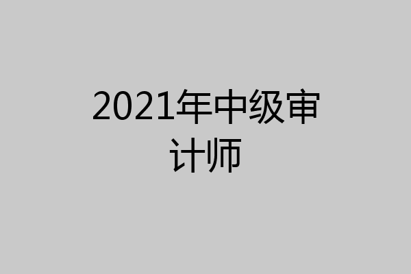 2021年中级审计师