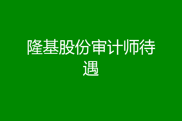 隆基股份审计师待遇