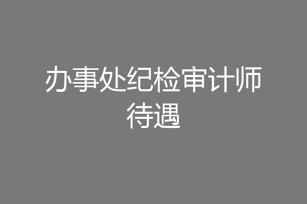 办事处纪检审计师待遇