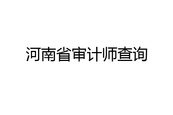 河南省审计师查询