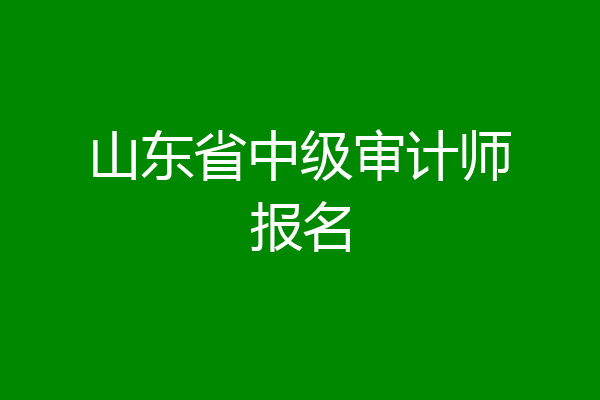 山东省中级审计师报名