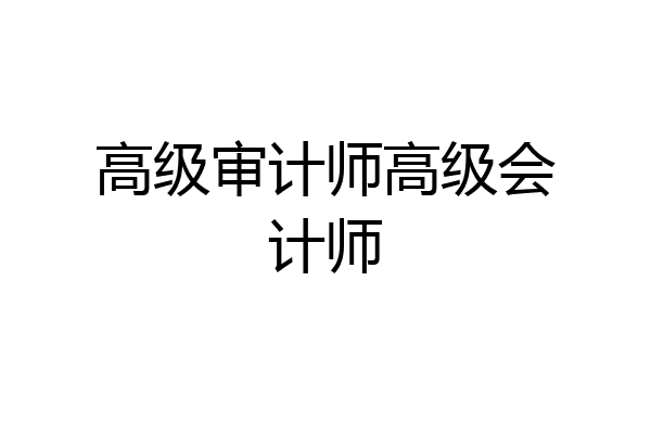 高级审计师高级会计师