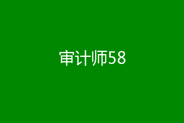 审计师58