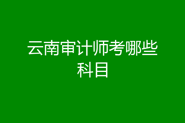云南审计师考哪些科目