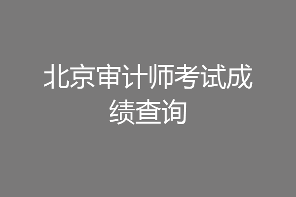 北京审计师考试成绩查询