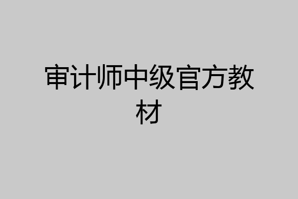 审计师中级官方教材