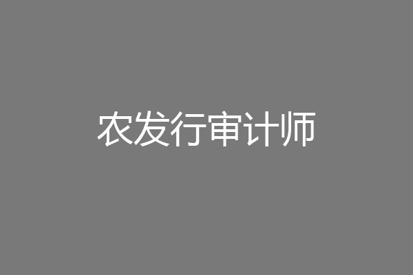 农发行审计师