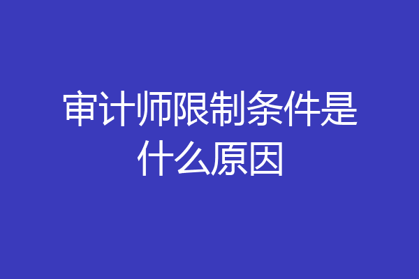 审计师限制条件是什么原因