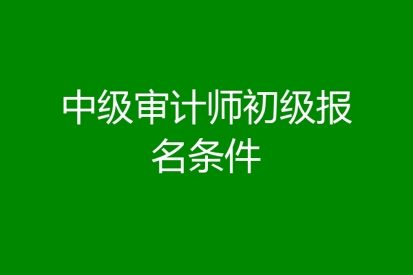 中级审计师初级报名条件
