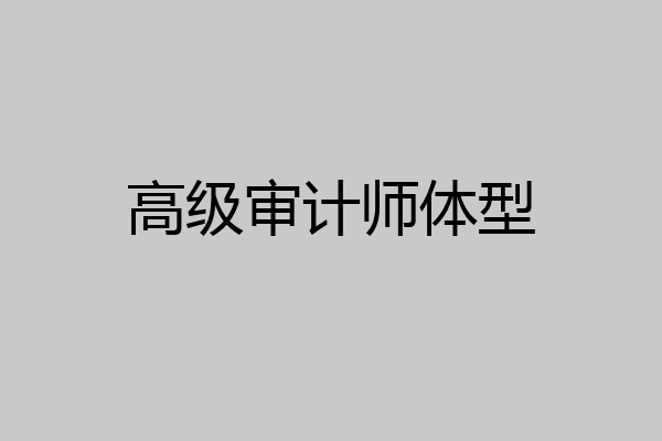 高级审计师体型