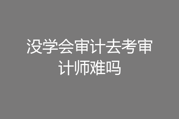 没学会审计去考审计师难吗