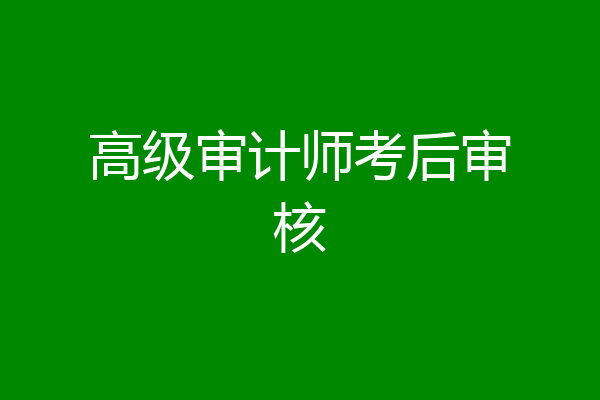 高级审计师考后审核