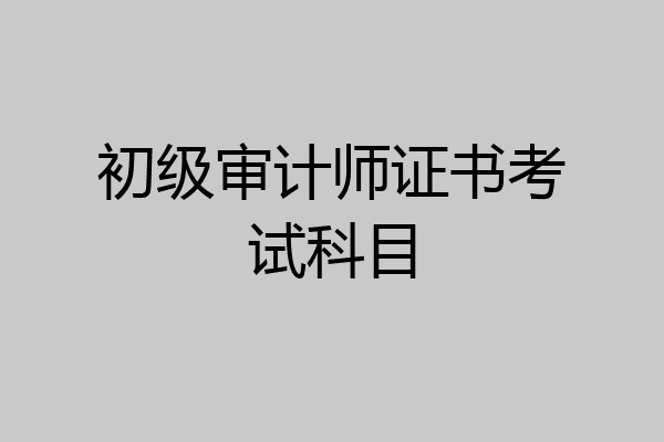 初级审计师证书考试科目