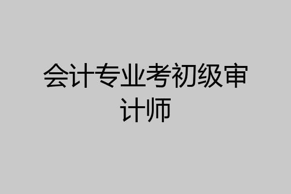 会计专业考初级审计师