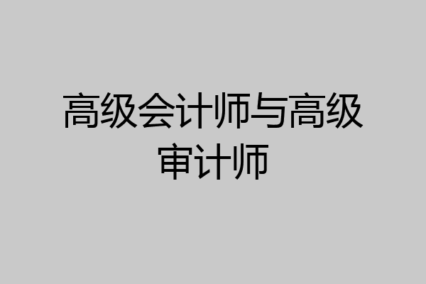 高级会计师与高级审计师