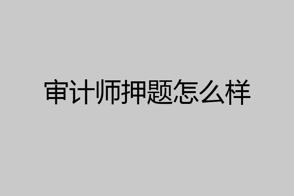 审计师押题怎么样