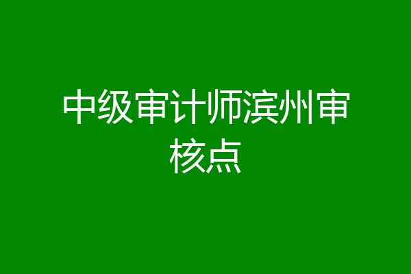 中级审计师滨州审核点