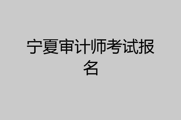 宁夏审计师考试报名
