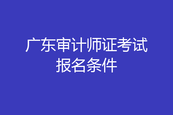 广东审计师证考试报名条件