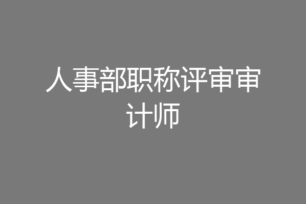 人事部职称评审审计师